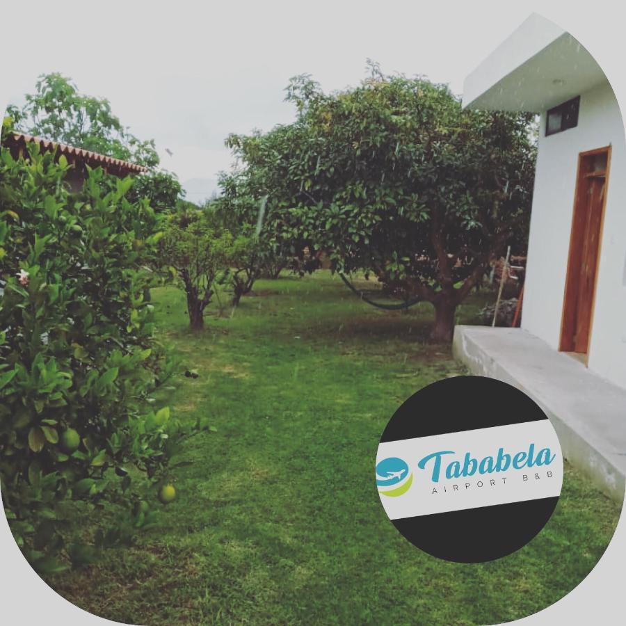 Tababela Airport B&B Extérieur photo
